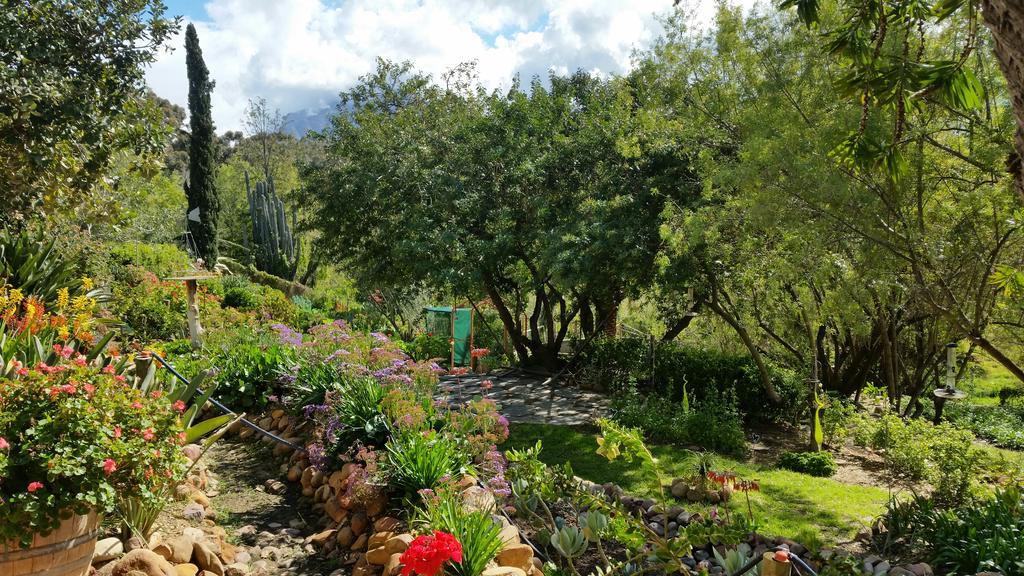 African Tulip Guesthouse Tulbagh Exterior photo