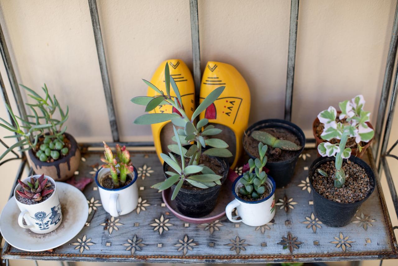 African Tulip Guesthouse Tulbagh Exterior photo